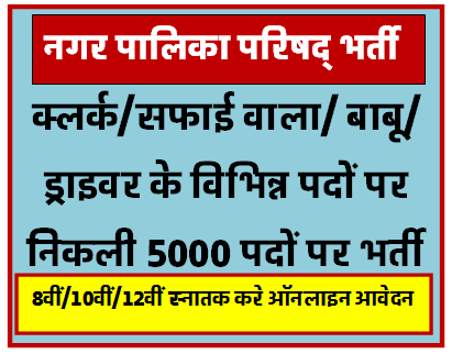 नगर पालिका परिषद में निकली विभिन्न पदों पर भर्ती योग्यता 10वीं/12वीं स्नातक करें